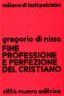 Fine, professione e perfezione del cristiano