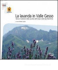 La lavanda in Valle Gesso