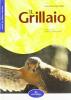 Il grillaio