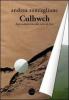 Culhwch. Apprendista eroe alla corte di Art�