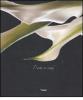 L' arte in verde. Con 2 DVD