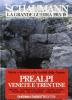 La grande guerra 1915-18 vol.3