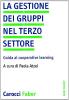 La gestione dei gruppi nel terzo settore. Guida al cooperative learning