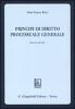 Principi di diritto processuale generale