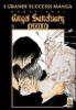 Angel Sanctuary Gold deluxe vol.9