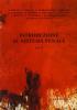 Introduzione al sistema penale vol.2