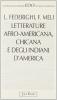 Letterature afro-americana, chicana e degli indiani d'America