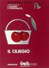 Il ciliegio