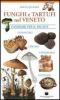 Funghi e tartufi nel Veneto. Itinerari per il palato