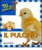 Il pulcino
