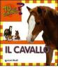 Il cavallo
