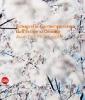 Fotografia contemporanea dell'Estremo Oriente. Asian Dub Photography