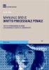 Diritto processuale penale. Manuale breve. Tutto il programma d'esame con domande e risposte commentate