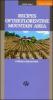 Recipes of the Florentine mountain area. Culinary discoveries