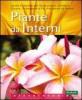 Piante da interno