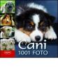 Cani