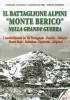 Il battaglione alpini �Monte Berico� nella grande guerra. I combattimenti in: val Terragnolo, Pasubio, Vallarsa, monte Majo, Bainsizza, Caporetto, altipiani