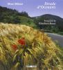 Strade d'Oltrep�