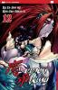 Demon King vol.12