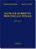 Manuale di diritto processuale penale
