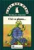 Chi va piano...