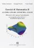 Esercizi di matematica B. Algebra lineare, geometria, analisi. 400 esercizi svolti e quiz per l'autovalutazione