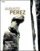 Augusto Perez. Catalogo della mostra (Napoli, 21 dicembre 2010-15 febbraio 2011)