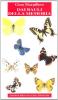 Dai bauli della memoria