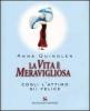 La vita � meravigliosa