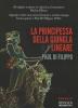 La principessa dalla giungla lineare