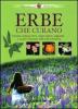Erbe che curano. Essenze, principi attivi, tisane, liquori e unguenti... e in pi� il ricettario delle erbe selvatiche