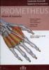 Prometheus. Atlante di anatomia. Anatomia generale, apparato locomotore