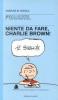 Niente da fare, Charlie Brown!