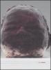 Marc Quinn. Catalogo della mostra (Roma, 22 giugno-30 settembre 2006). Ediz. italiana e inglese