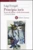 Principia juris. Teoria del diritto e della democrazia. Con CD-ROM vol.1