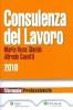 Consulenza del lavoro 2010