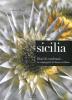 Sicilia. Diari di vendemmie in compagnia di donne siciliane