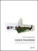 Codice policromo. Architettura e tecniche di invenzione