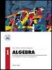 Algebra vol.1