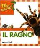 Il ragno