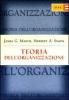 Teoria dell'organizzazione