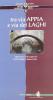 Percorsi archeologici. Ediz. italiana e inglese vol.6