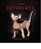 Devon Rex
