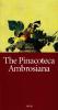 La pinacoteca ambrosiana. Ediz. inglese