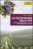 La coltivazione della vite