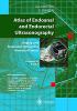 Atlas of endoanal and endorectal ultrasonography. Staging and treatment options for anorectal cancer