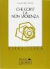 Che cos'� la non violenza