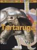 La tartaruga