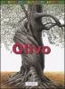L' olivo