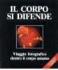 Viaggio fotografico dentro il corpo umano: Questo � l'uomo-Il corpo si difende
